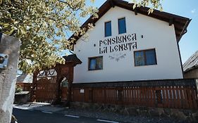 Pensiunea La Lenuta Guest House